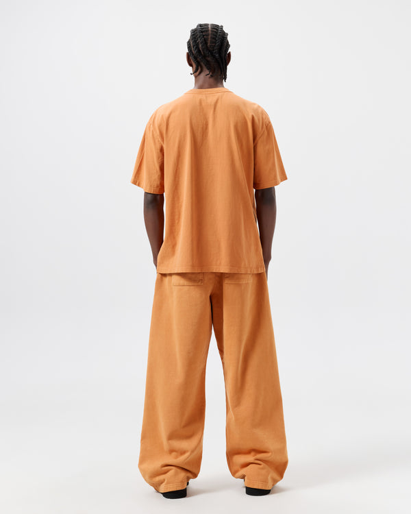 Apricot