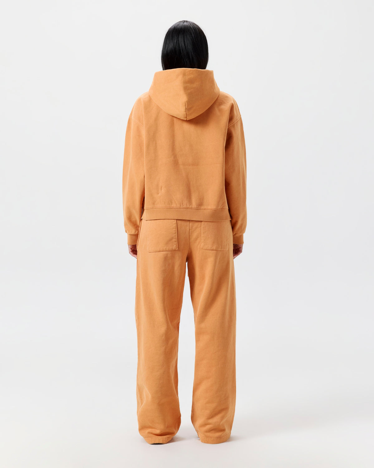 Apricot