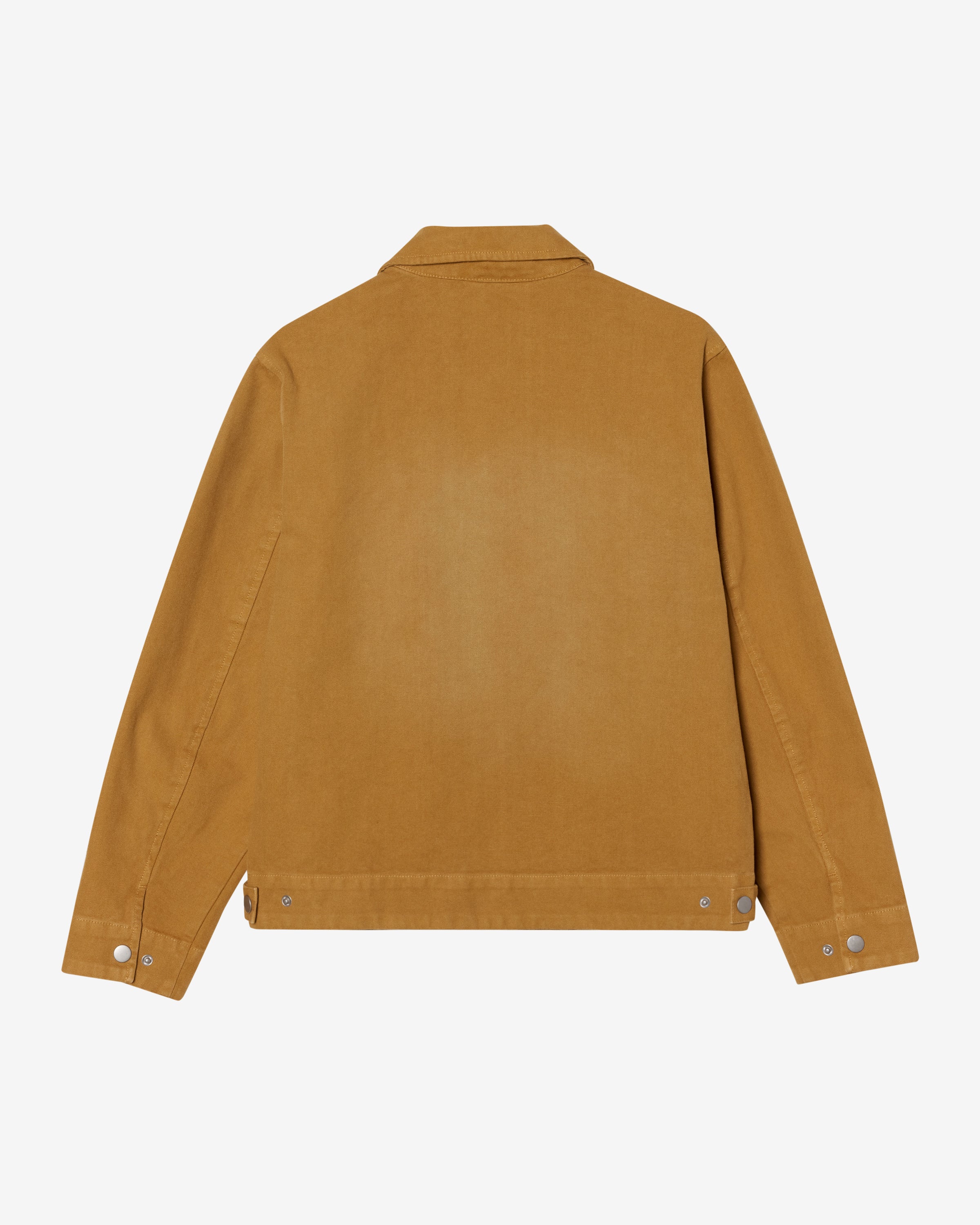 camel